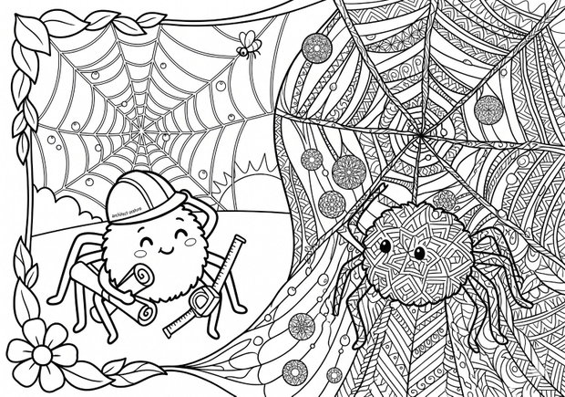 Insecte - Colorăm Împreună