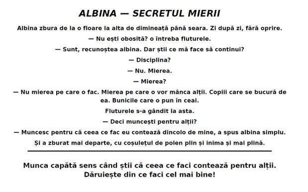 Insecte - Colorăm Împreună