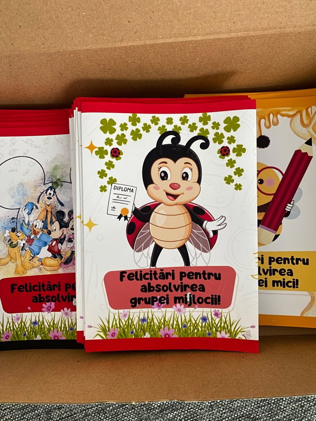 Punga surpriza absolvire gradinita si scoala