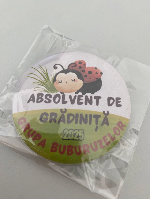 Insigna absolvire gradinita scoala