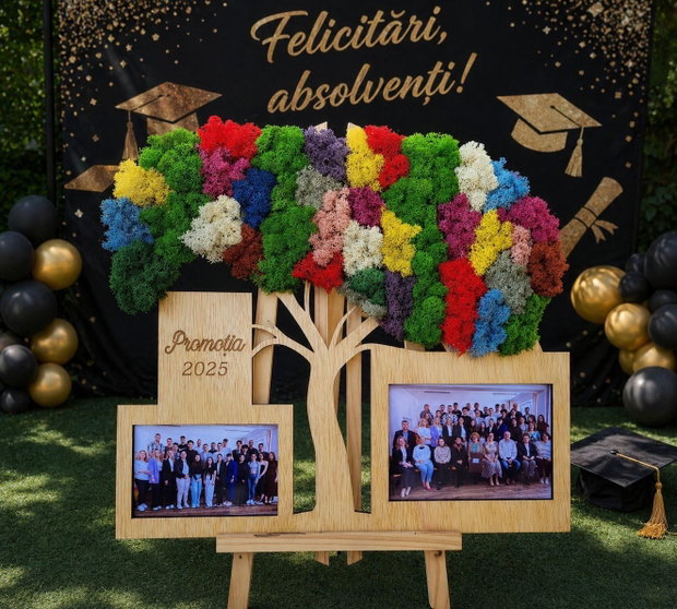 Tablou copac din licheni 40x45 cm cu fotografii de clasă și mesaj promoție cadou sfârșit de an școlar