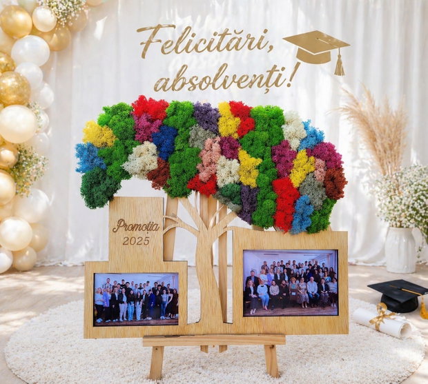 Tablou copac din licheni 40x45 cm cu fotografii de clasă și mesaj promoție cadou sfârșit de an școlar