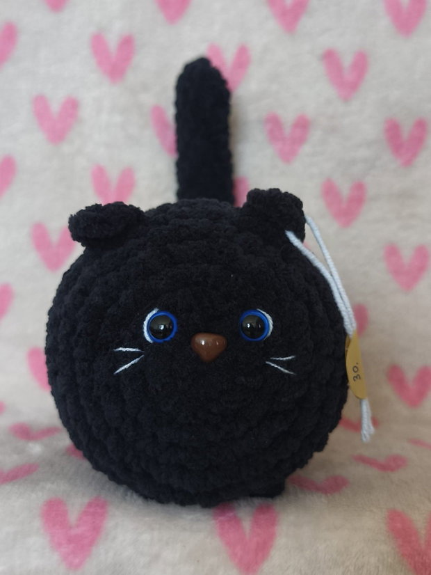 Pisica neagra