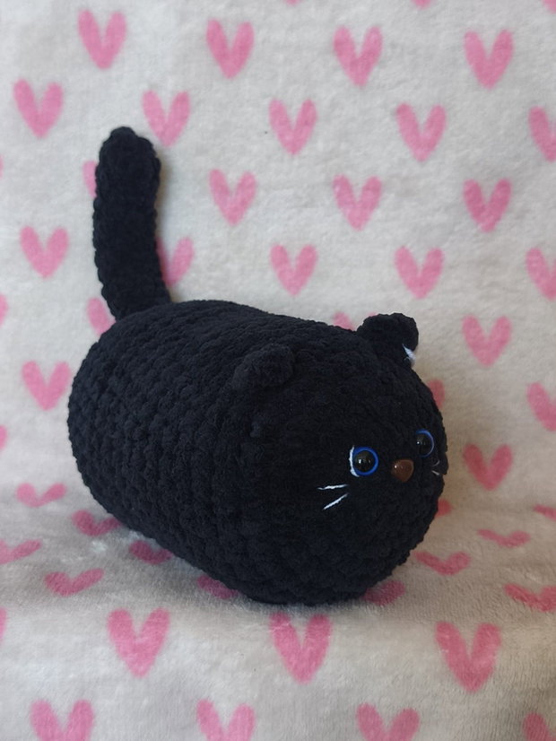 Pisica neagra