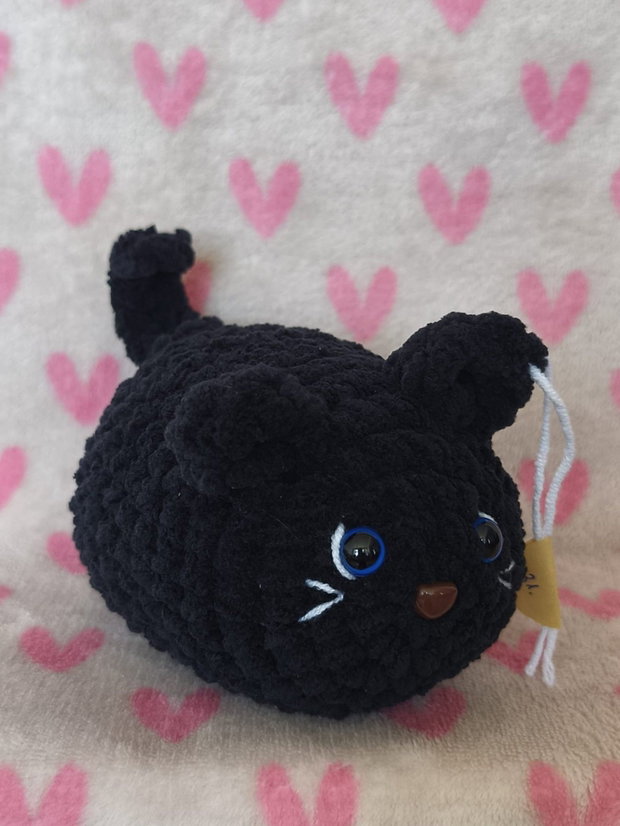 Pisica neagra