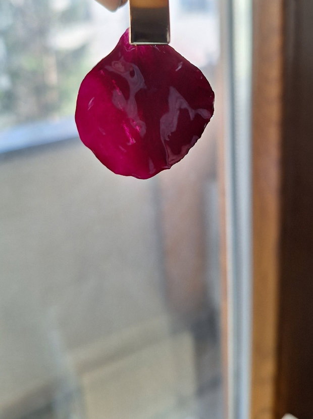 Cercei Burgundy Petale Naturale de Trandafir