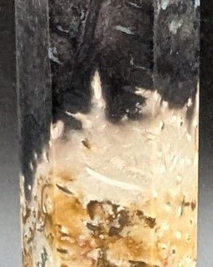 Lemn Pietrificat (Fosilizat) Palmier - Obelisc piatra semipretioasa