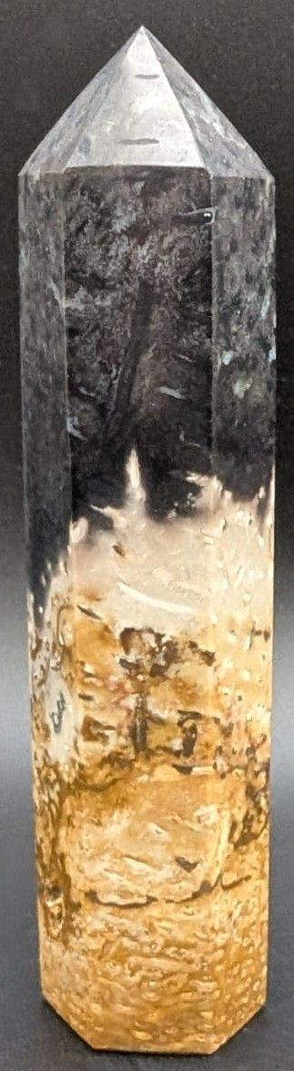 Lemn Pietrificat (Fosilizat) Palmier - Obelisc piatra semipretioasa