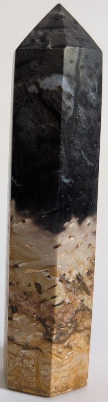 Lemn Pietrificat (Fosilizat) Palmier - Obelisc piatra semipretioasa