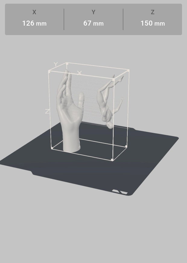 Ornament 3D
