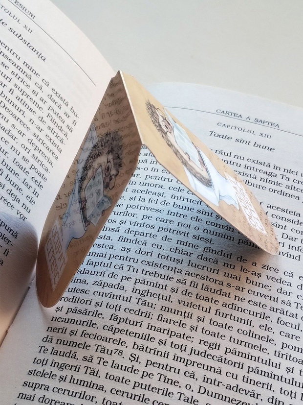 Semn de carte magnetic "Ocupat. Citesc" - Arici la toaleta