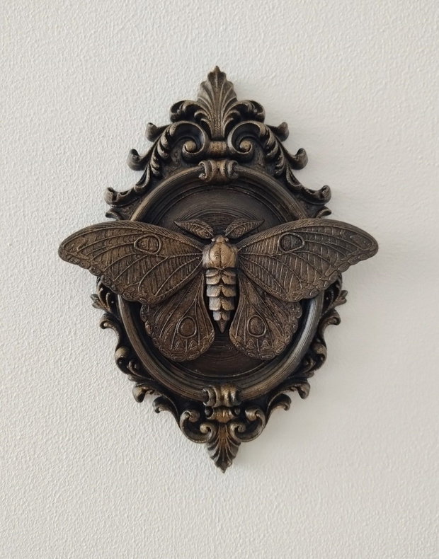 Fluture de noapte