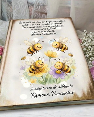 Agenda persoanlizata pentru educatoare, invatatoare - tema albinute