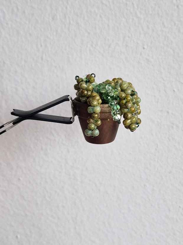 Accesoriu plante pentru mașină
