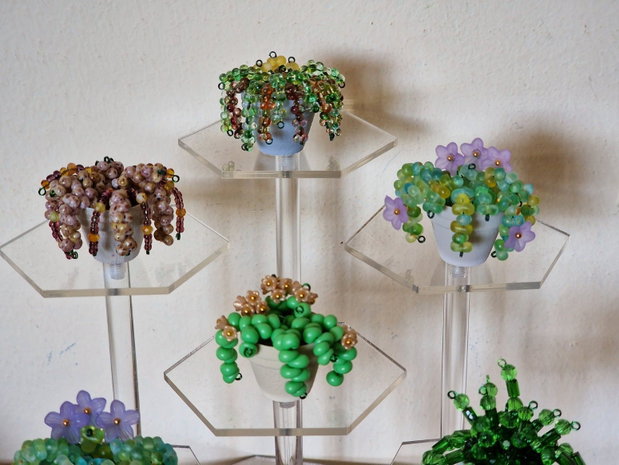 Accesoriu plante pentru mașină