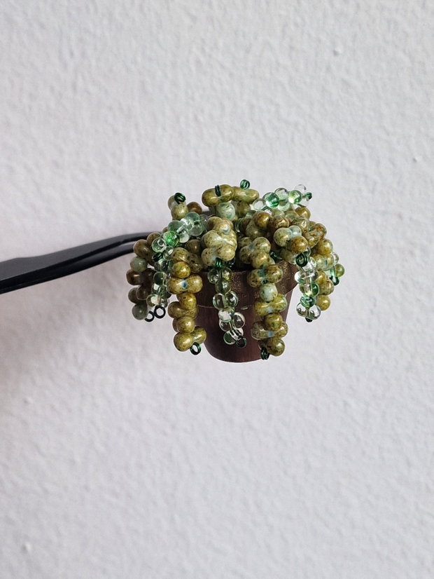 Accesoriu plante pentru mașină