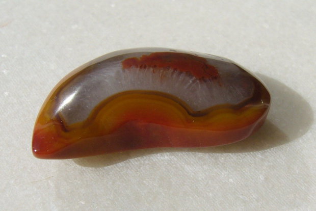 Speciman rulat crazy lace agate aprox 10x21x35 mm