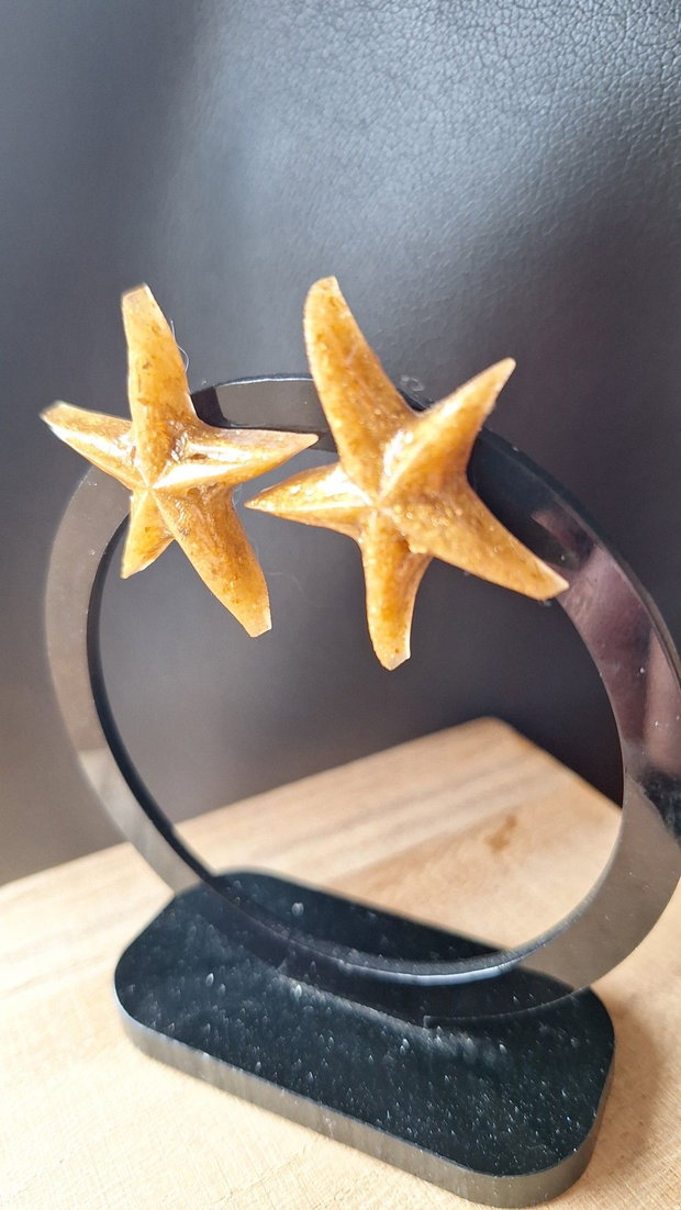 Cercei Stele de Mare Golden Sand Din Rășină Epoxidică cu Glitter Auriu Fin