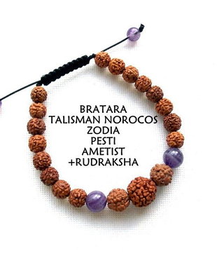 Bratara Zodia PESTI*Talisman Norocos*Ametist+Rudraksha