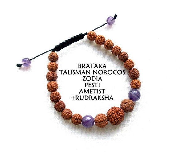 Bratara Zodia PESTI*Talisman Norocos*Ametist+Rudraksha