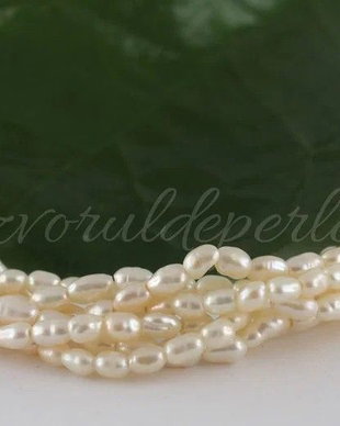 Perle cultura 3-3.5x4.5-5mm, cod ID14 (1sir)