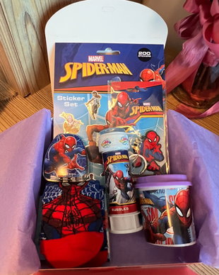 Set cadou Spider-Man GeorginaGrace  surpriză pentru micii eroi
