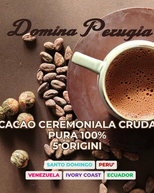 Cacao Ceremoniala Cruda - 100% masa de cacao single origin