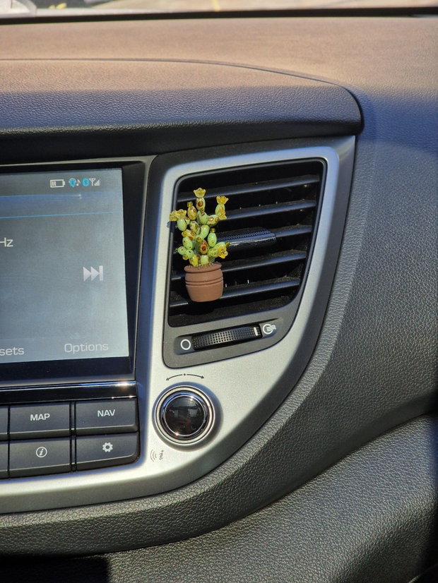 Cactus