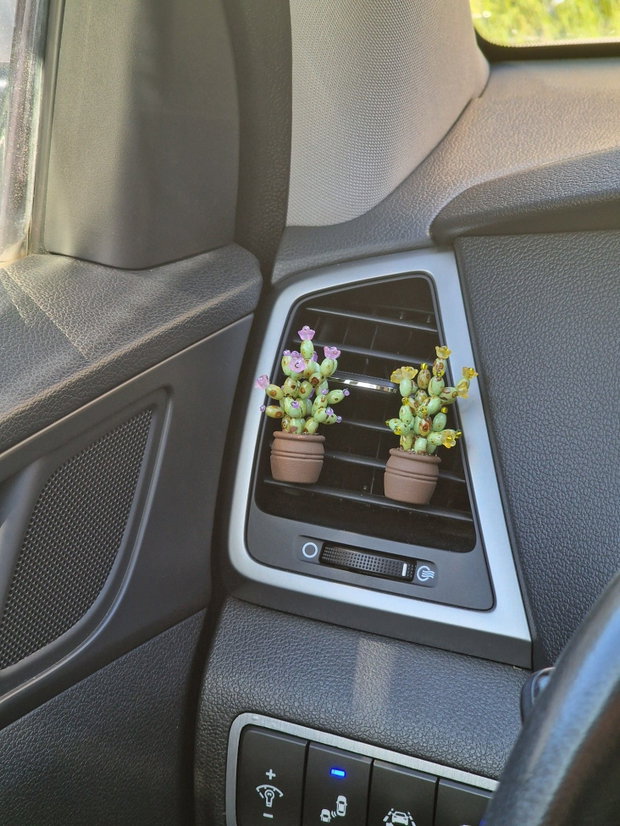 Cactus