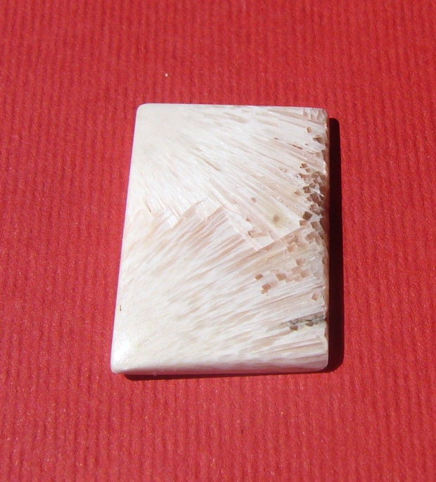 Cabochon scolecit aprox 26x18x3.5 mm