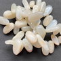 Lchips 64 - piatra lunii