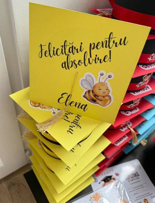 Set absolvire Tocă, Insignă/Cocarda