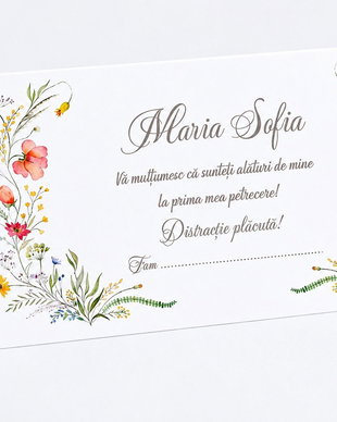 Plicuri bani botez fetițe- model floral