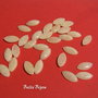 (2bucati) Cabochon din jad taietura Marquise aprox 22x11 mm