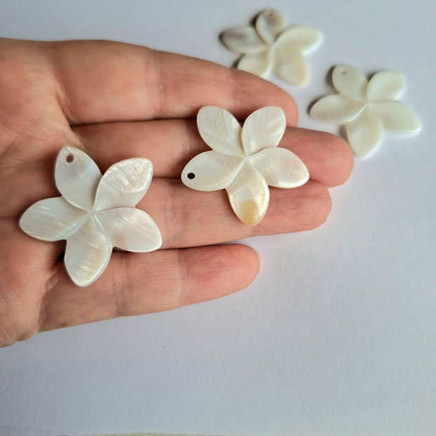 Pandantiv floare sidef alb   PD.0094