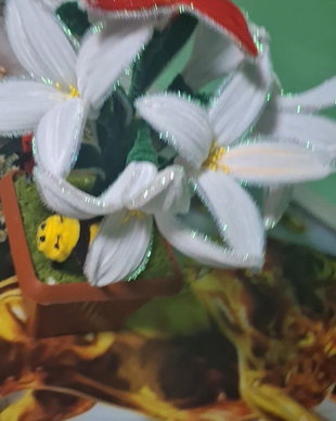 Ghiveci crinii!