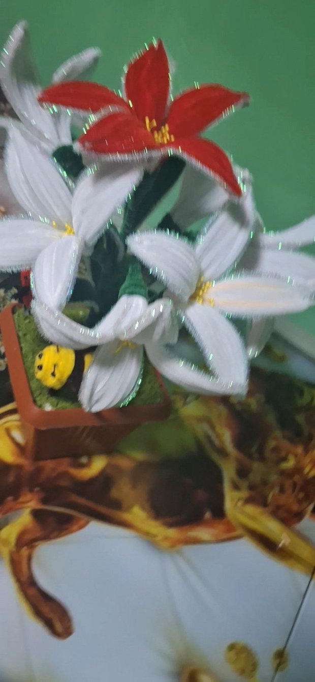Ghiveci crinii!