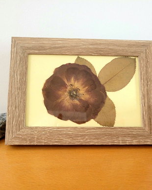 Tablou floare presata