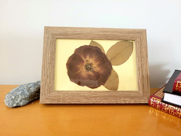 Tablou floare presata