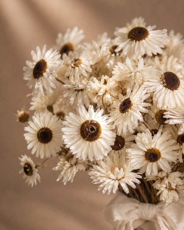 Buchet mireasă din margarete uscate naturale rustic și delicat
