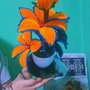 O superba floare !