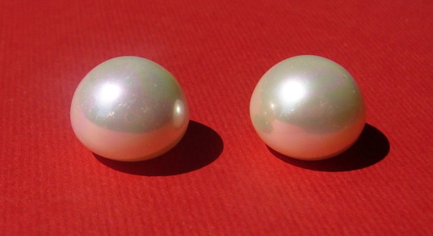 (2 bucati) Perle tip Mallorca semi-gaurite aprox 14x11.5 mm