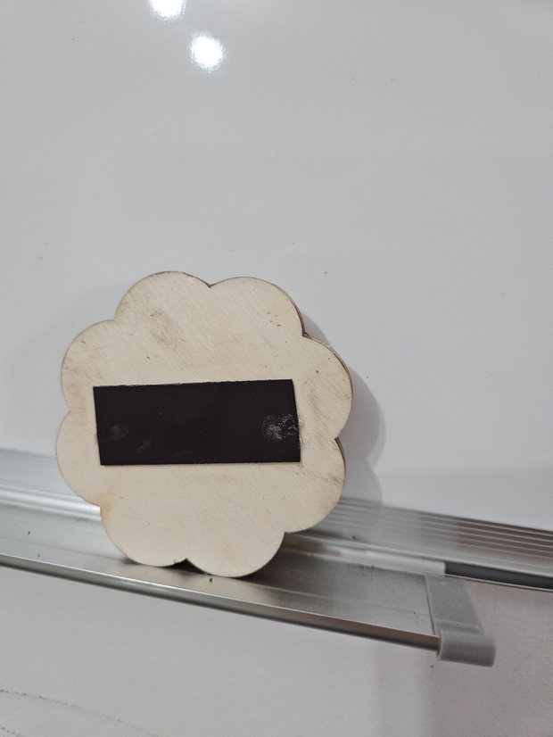 Magnet cu licheni stabilizati si mesaj "Zambeste"