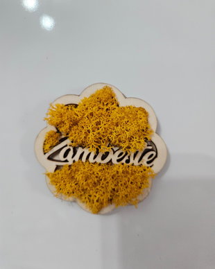 Magnet cu licheni stabilizati si mesaj "Zambeste"