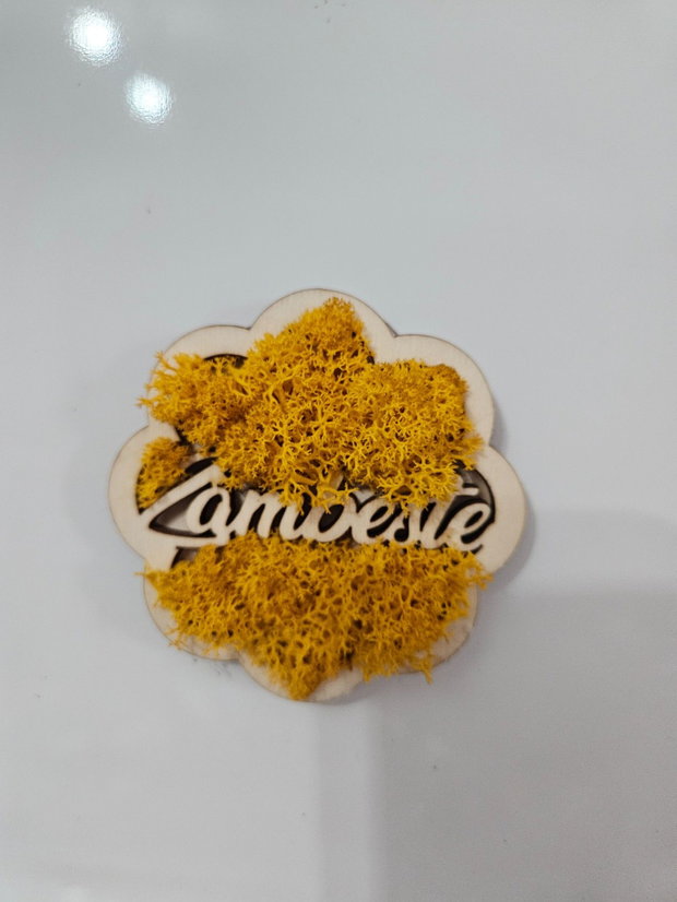 Magnet cu licheni stabilizati si mesaj "Zambeste"