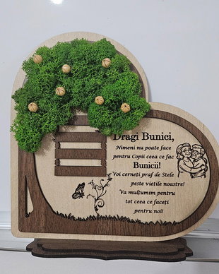 Cadou bunici - licheni stabilizati