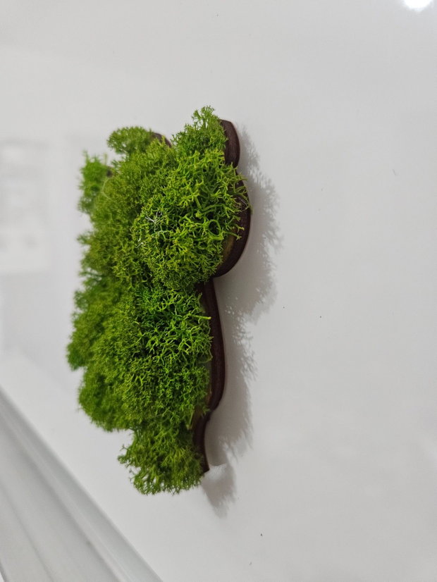 Magnet de frigider pisica