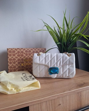 Geanta coach