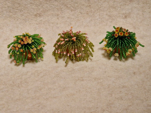Plante decorative din mărgele de nisip - cu magnet