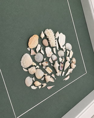 Tablou handmade unicat Sea Shell Mosaic în ramă Shadow Box  scoici naturale pe fundal verde salvie